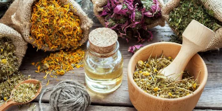 Vườn thảo dược NaHerbs